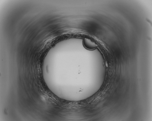 X0000097300918200802151119