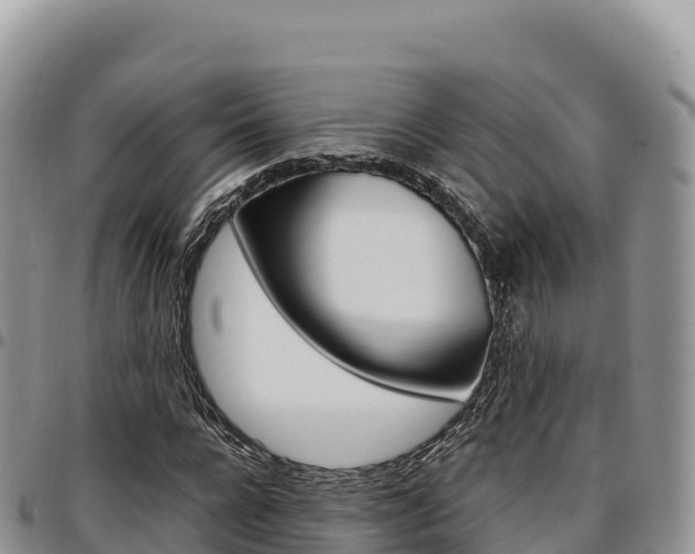X0000097300920200802151119