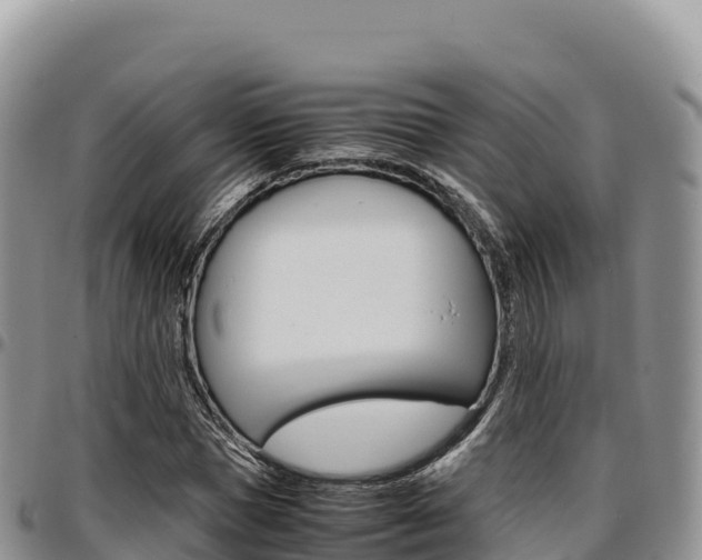 X0000097300921200802151119