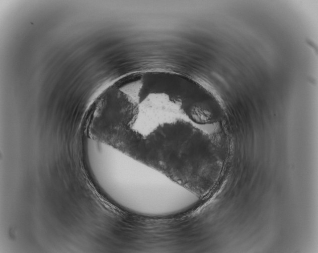 X0000097300925200802151119