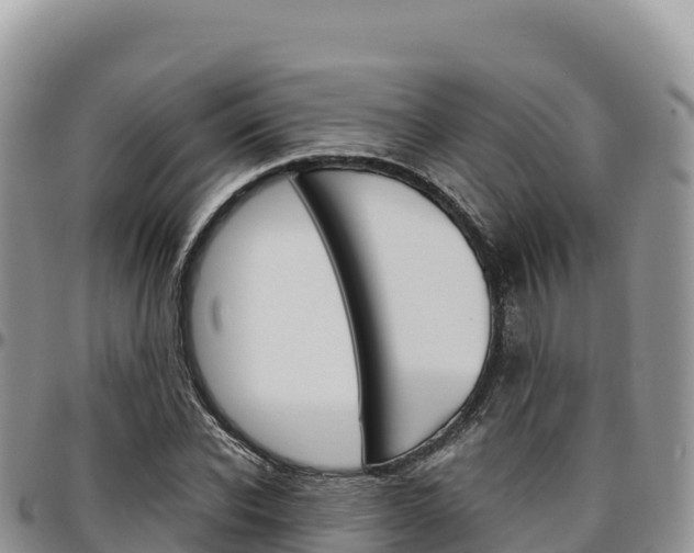 X0000097300926200802151119