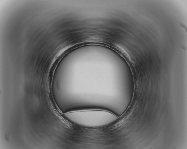 X0000097300931200802151119