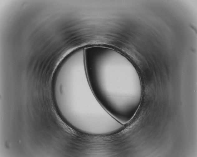 X0000097300934200802151119