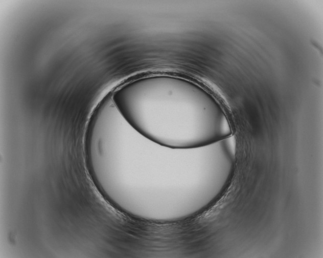 X0000097300935200802151119
