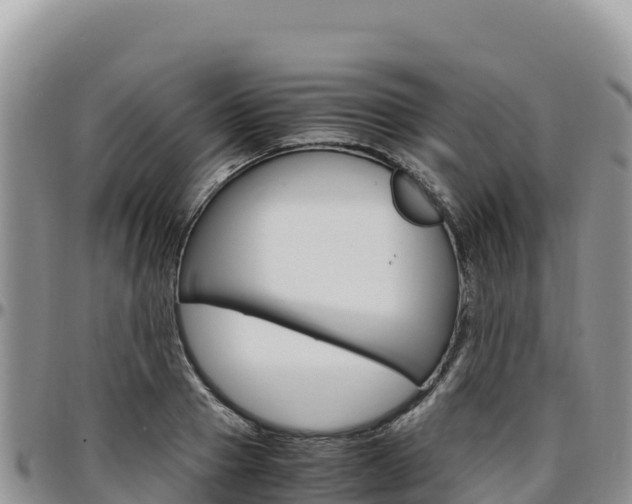 X0000097300937200802151119