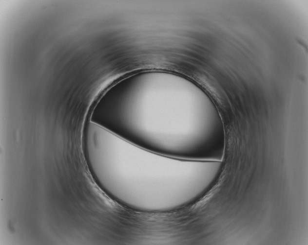 X0000097300940200802151119