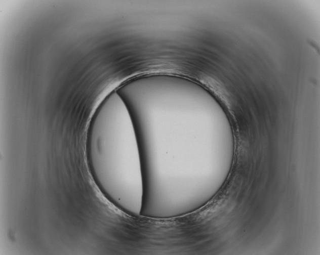 X0000097300941200802151119