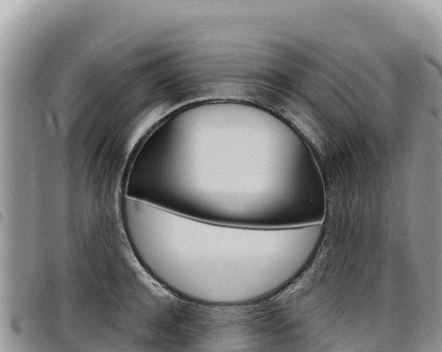 X0000097300944200802151119