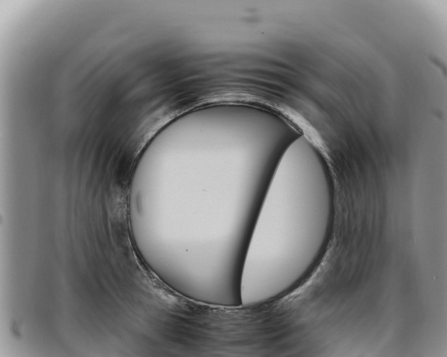 X0000097300945200802151119