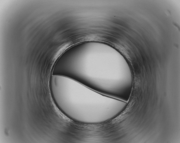 X0000097300946200802151119