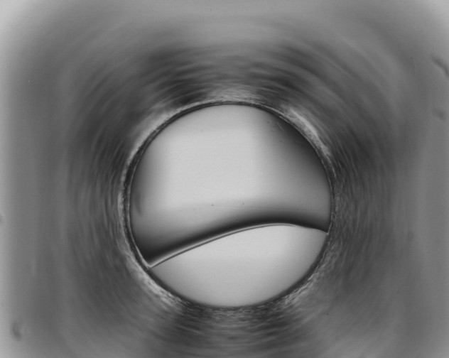 X0000097300947200802151119