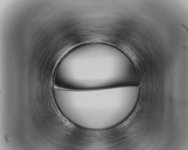 X0000097300948200802151119