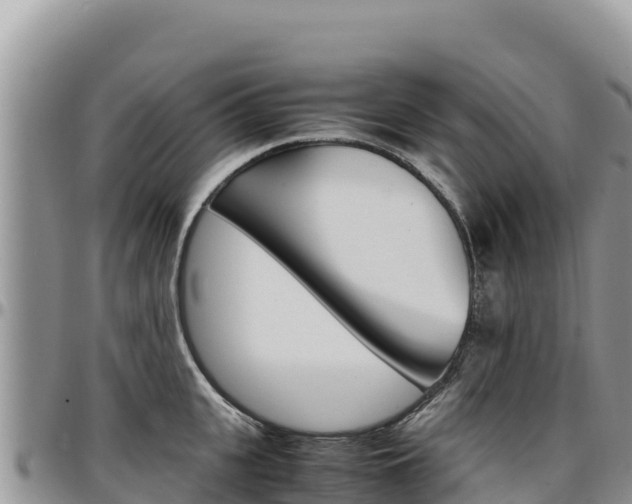 X0000097300951200802151119