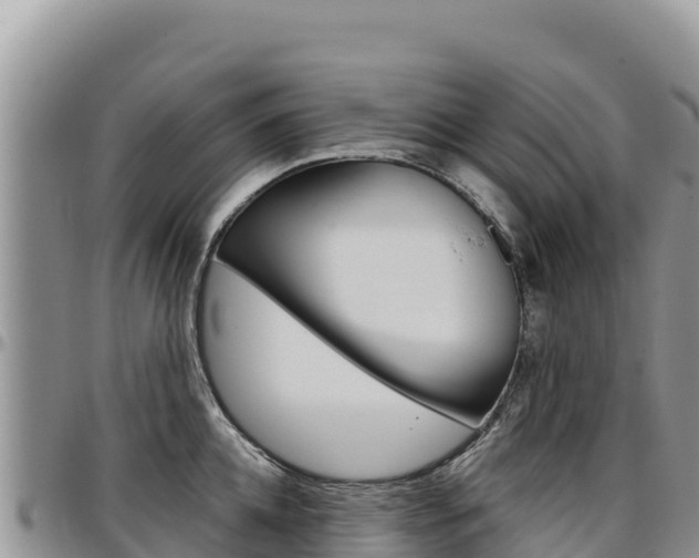 X0000097300952200802151119
