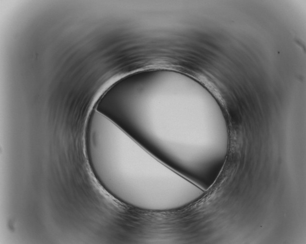 X0000097300955200802151119