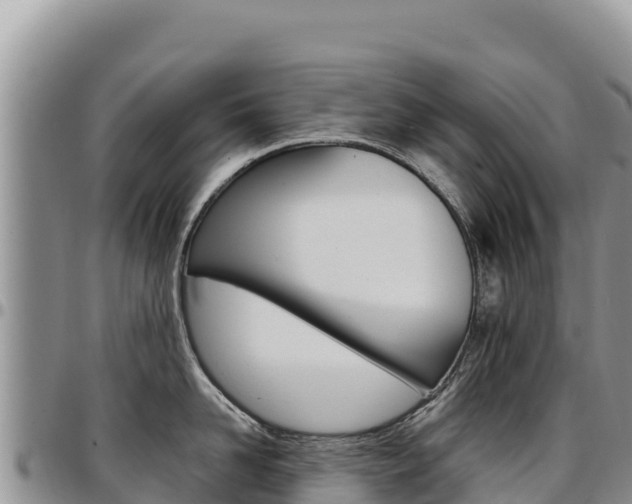 X0000097300958200802151119