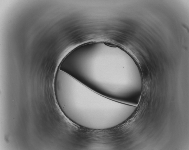 X0000097300959200802151119