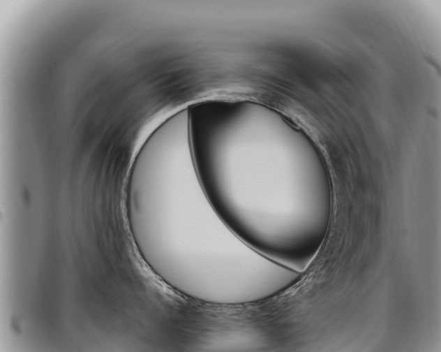 X0000097300960200802151119