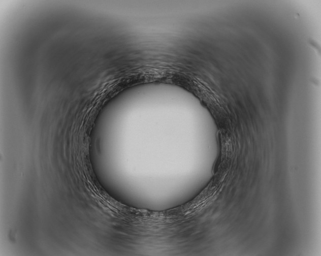 X0000097300961200802151118