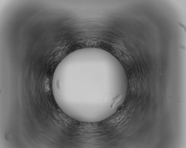 X0000097300962200802151118
