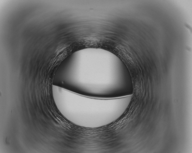X0000097300964200802151118