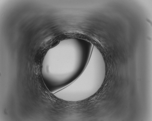 X0000097300965200802151118