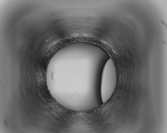 X0000097300966200802151118