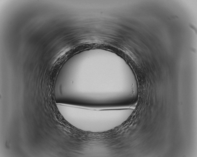 X0000097300967200802151118