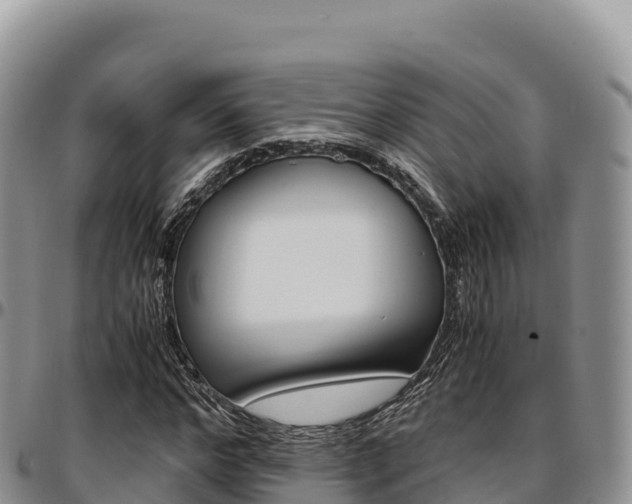 X0000097300968200802151118