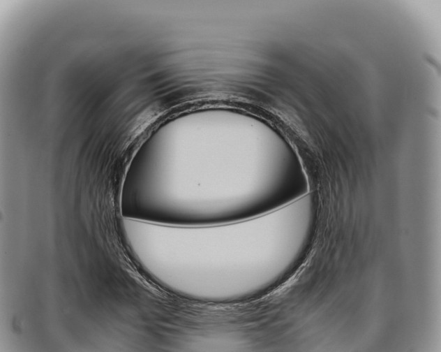 X0000097300969200802151118