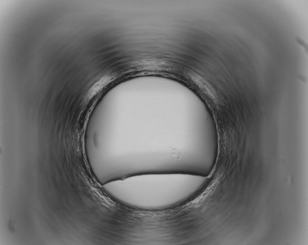 X0000097300970200802151118