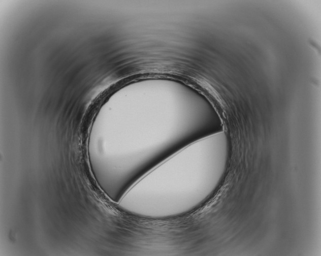 X0000097300971200802151118