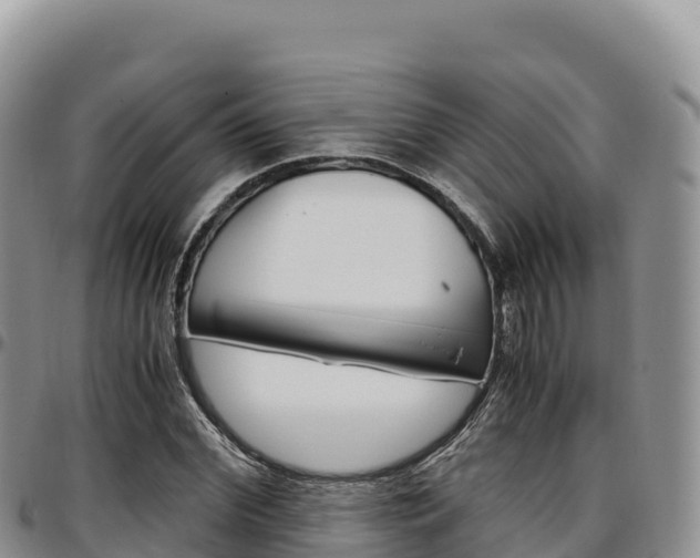 X0000097300972200802151118