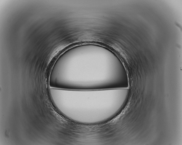 X0000097300973200802151118
