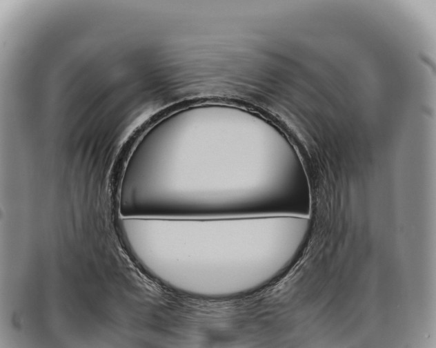 X0000097300975200802151118