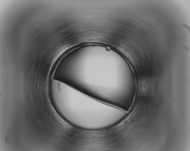 X0000097300976200802151118