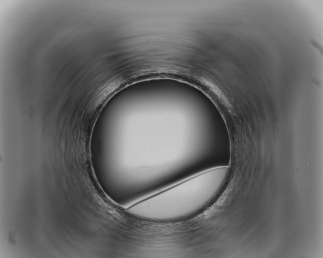 X0000097300977200802151118