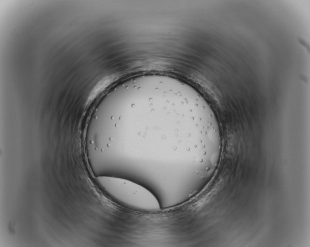 X0000097300978200802151118