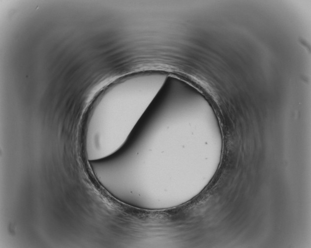 X0000097300979200802151118