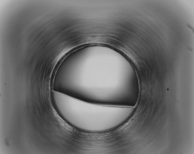 X0000097300980200802151118