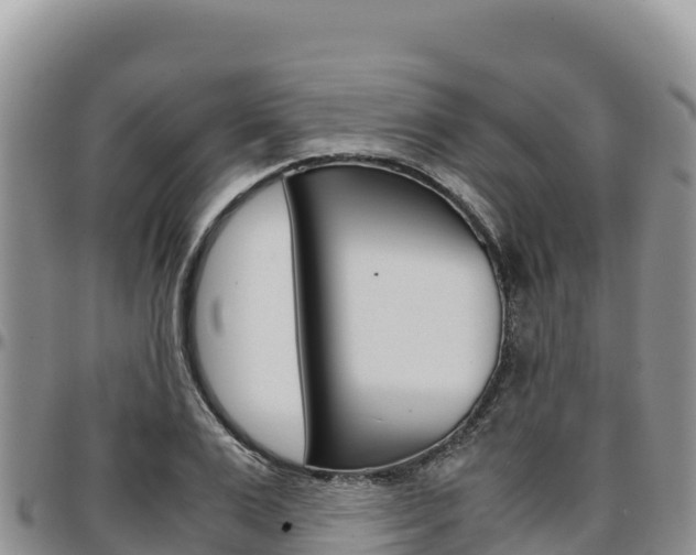 X0000097300983200802151118