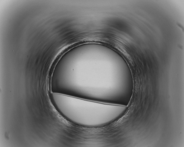 X0000097300984200802151118