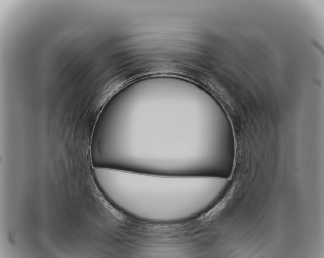 X0000097300985200802151118