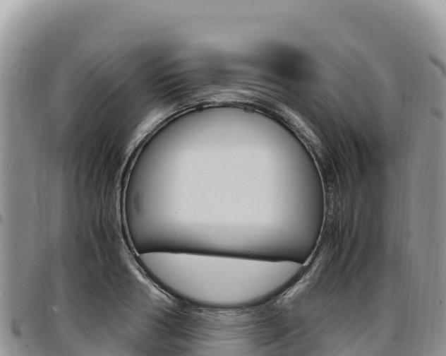 X0000097300986200802151118