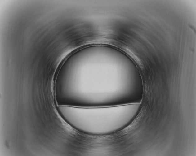 X0000097300988200802151118