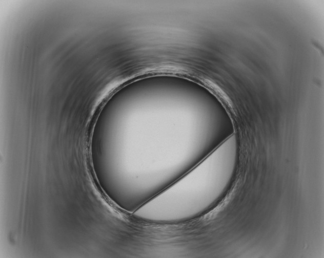 X0000097300989200802151118