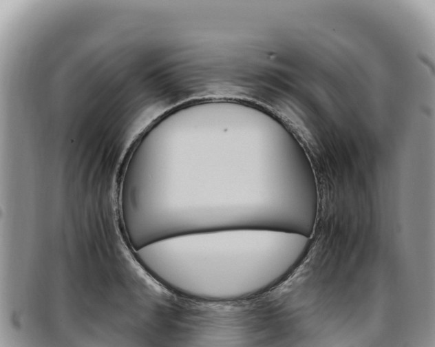 X0000097300990200802151118