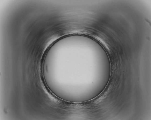 X0000097300991200802151118