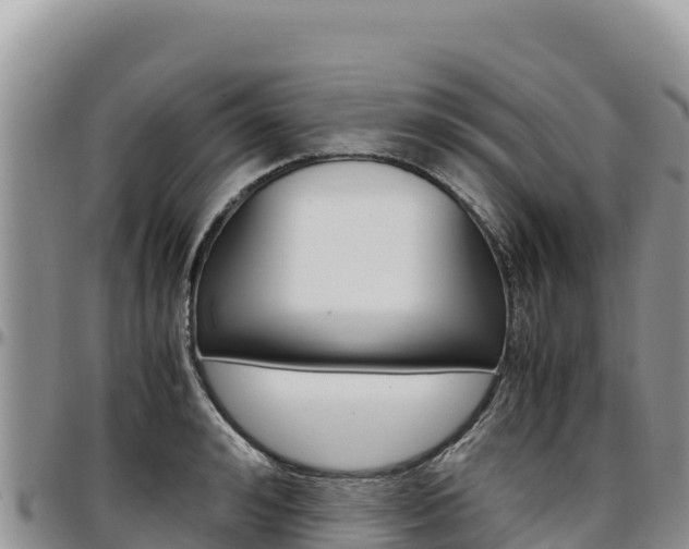 X0000097300992200802151118