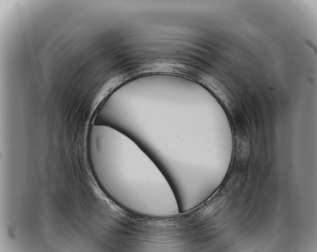 X0000097300994200802151118